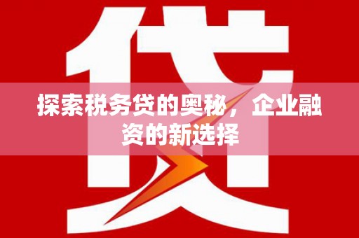 额尔古纳探索税务贷的奥秘，企业融资的新选择