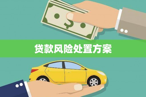 额尔古纳贷款风险处置方案