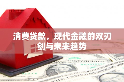 额尔古纳消费贷款，现代金融的双刃剑与未来趋势