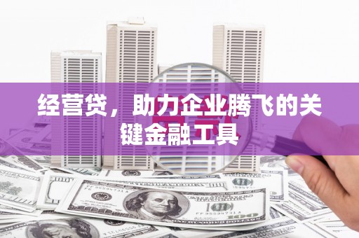 额尔古纳经营贷，助力企业腾飞的关键金融工具