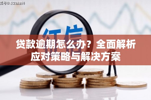 额尔古纳贷款逾期怎么办？全面解析应对策略与解决方案