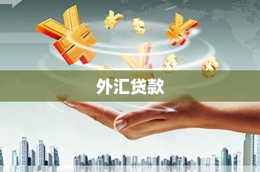 额尔古纳外汇贷款