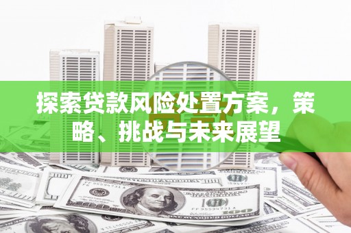 额尔古纳探索贷款风险处置方案，策略、挑战与未来展望