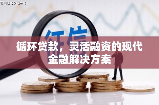 额尔古纳循环贷款，灵活融资的现代金融解决方案