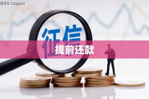 额尔古纳提前还款