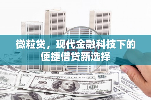 额尔古纳微粒贷，现代金融科技下的便捷借贷新选择