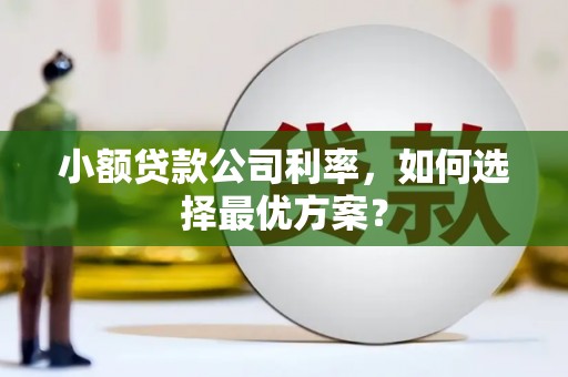 额尔古纳小额贷款公司利率，如何选择最优方案？