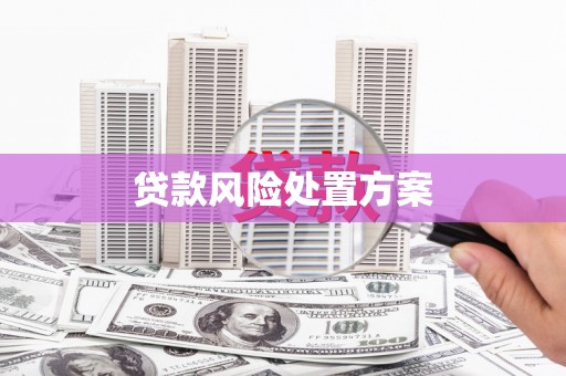 额尔古纳贷款风险处置方案