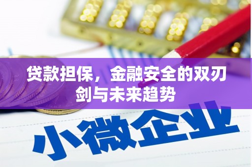 额尔古纳贷款担保，金融安全的双刃剑与未来趋势