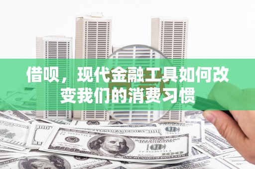 额尔古纳借呗，现代金融工具如何改变我们的消费习惯
