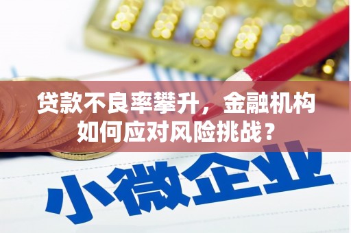 额尔古纳贷款不良率攀升，金融机构如何应对风险挑战？