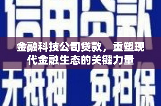 额尔古纳金融科技公司贷款，重塑现代金融生态的关键力量