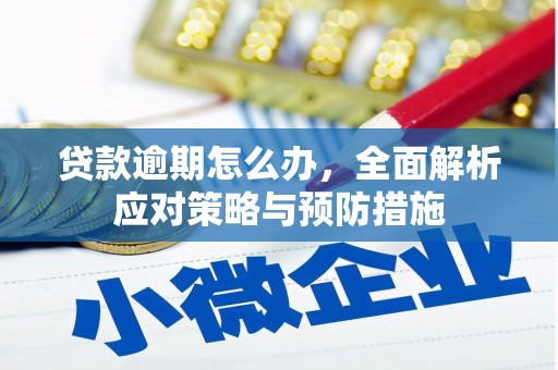 额尔古纳贷款逾期怎么办，全面解析应对策略与预防措施