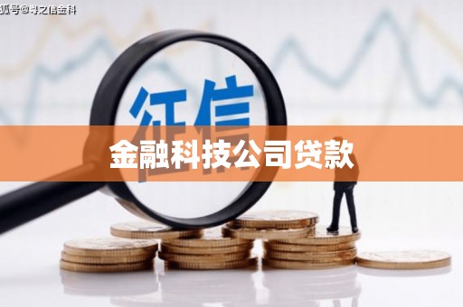 额尔古纳金融科技公司贷款