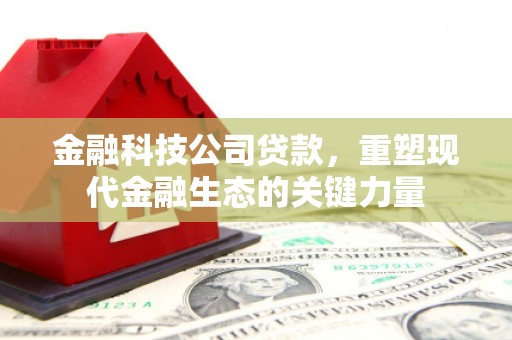 额尔古纳金融科技公司贷款，重塑现代金融生态的关键力量