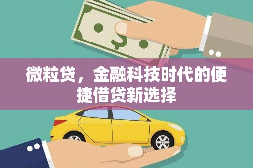 额尔古纳微粒贷，金融科技时代的便捷借贷新选择