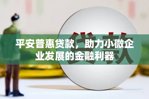 额尔古纳平安普惠贷款，助力小微企业发展的金融利器