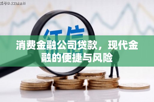 额尔古纳消费金融公司贷款，现代金融的便捷与风险
