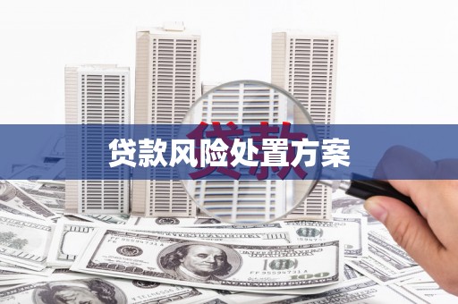 额尔古纳贷款风险处置方案